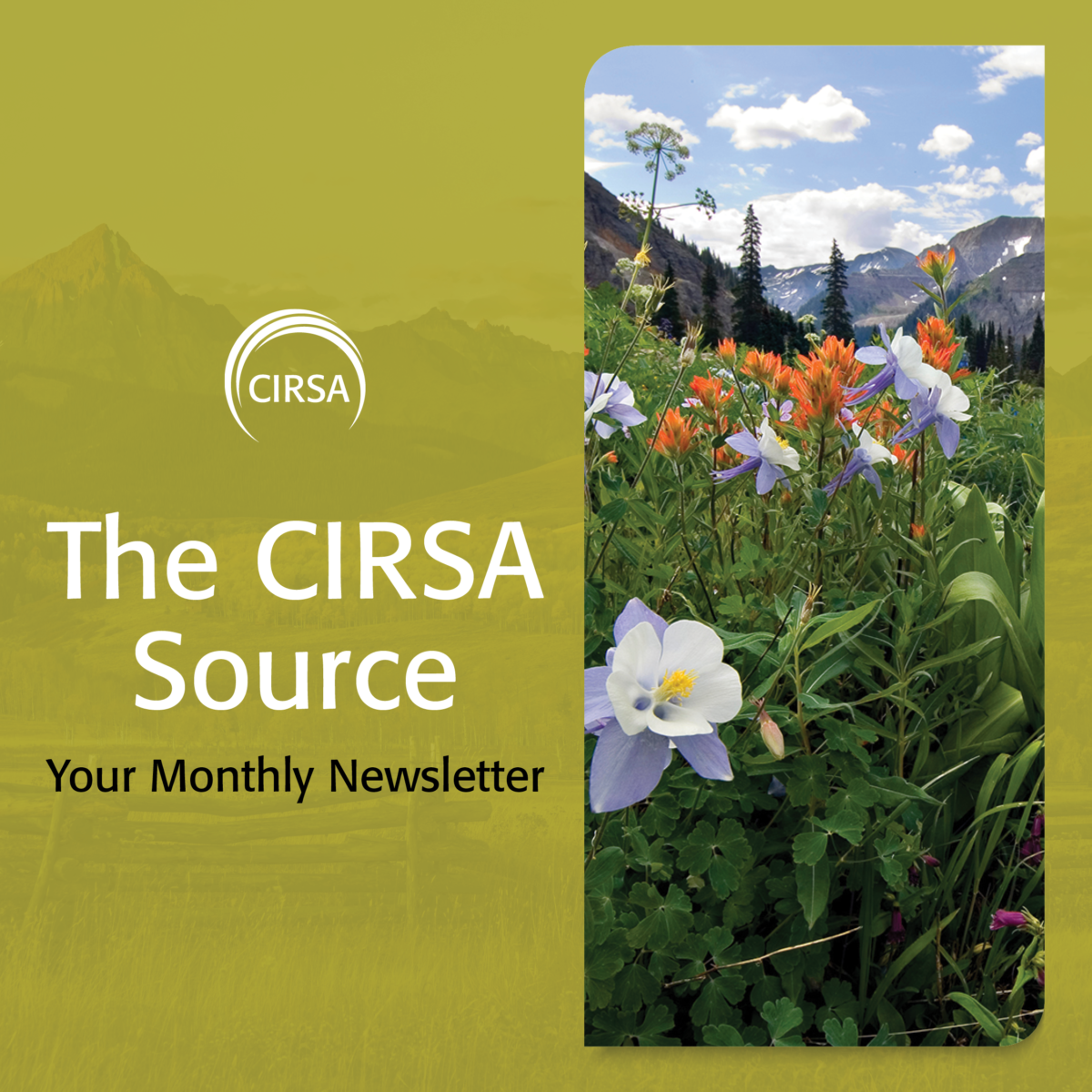 The CIRSA Source – May 2024