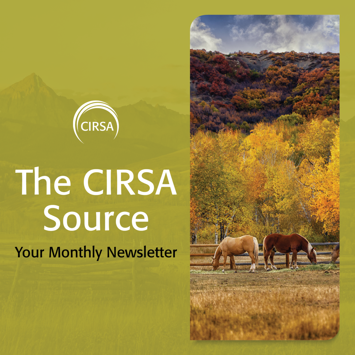 The CIRSA Source – October 2024