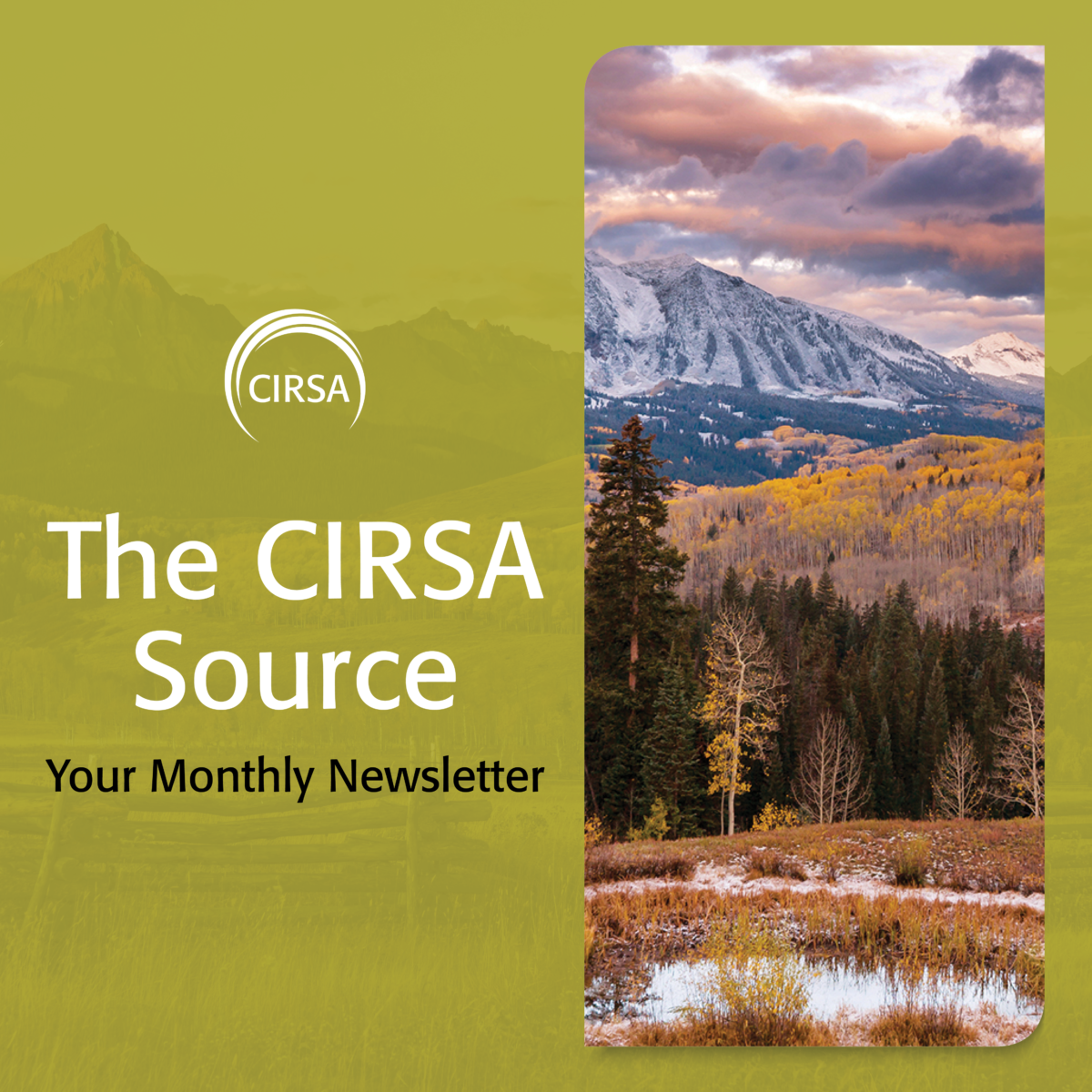 The CIRSA Source – November 2024