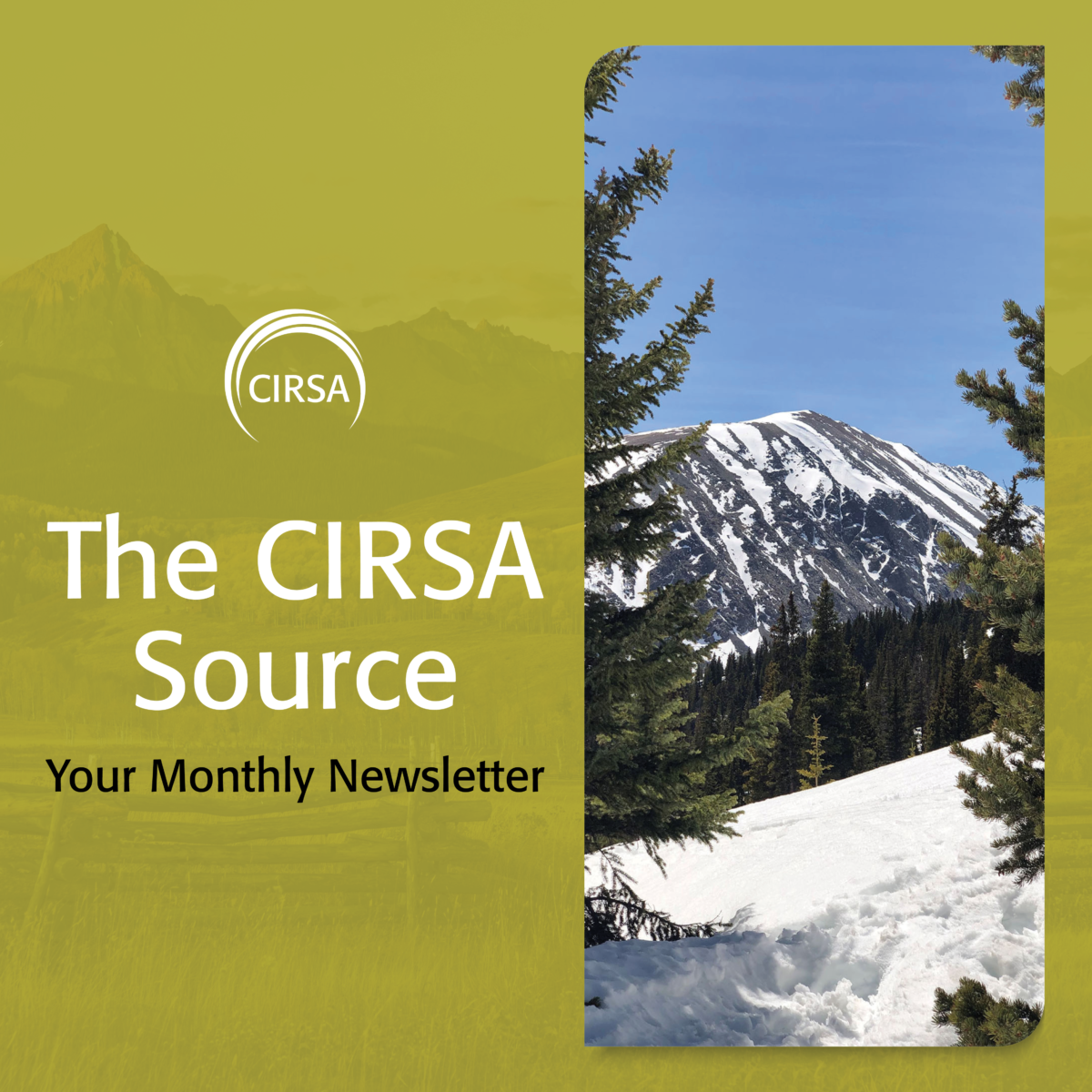 The CIRSA Source – January 2025